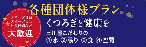 スポーツ合宿 スポーツ大会 社員研修など各種団体様プラン